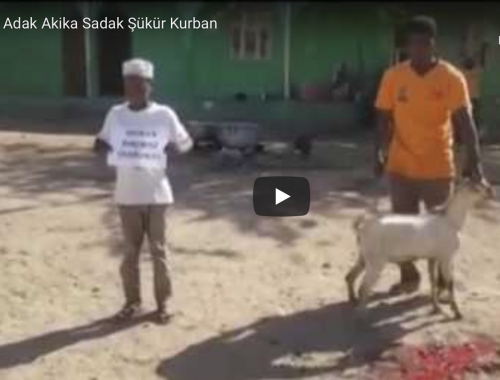 IBS Adak Akika Sadak Şükür Kurban